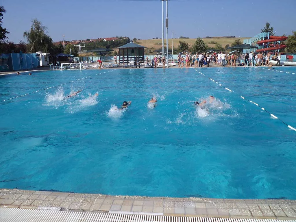 Kamp Plivačkog saveza Srbije u Kruševcu 30.07-12.08.2013
