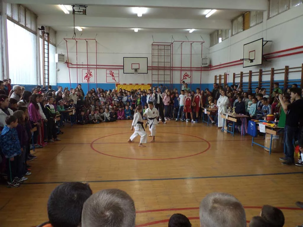 01.10.2013 održan Sajam sportova u OŠ "Branko Radičević"