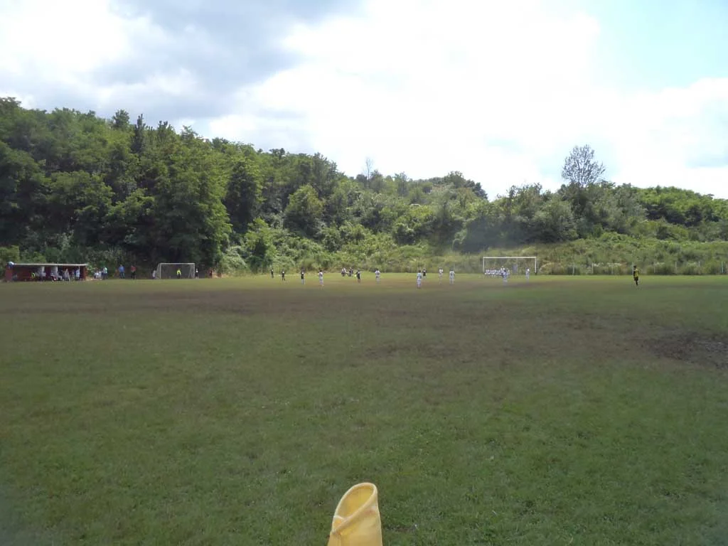 U Kruševcu u periodu 23.06 -27.06.2014 godine održan " Vidovdanski fudbalski turnir"