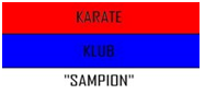 karatesampion